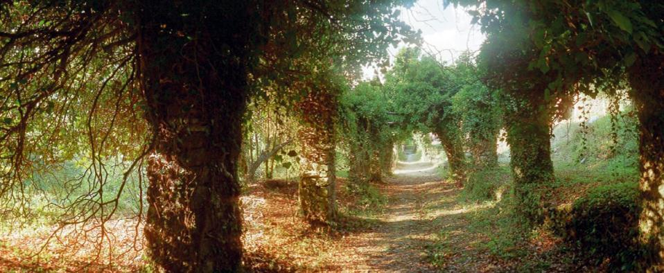 Il Convento Di Casola Casola in Lunigiana Bagian luar foto